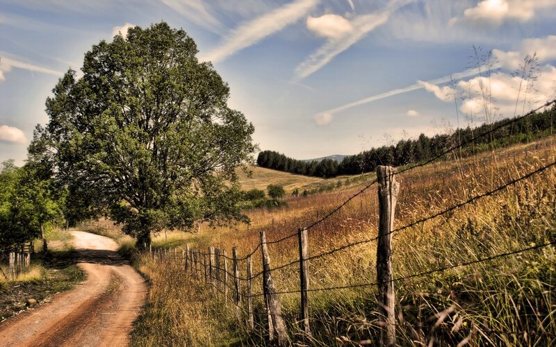 Rural road with tree and fence