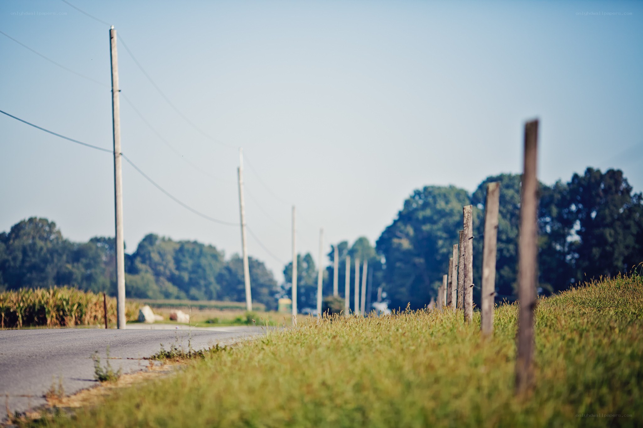 Rural road with utility poles