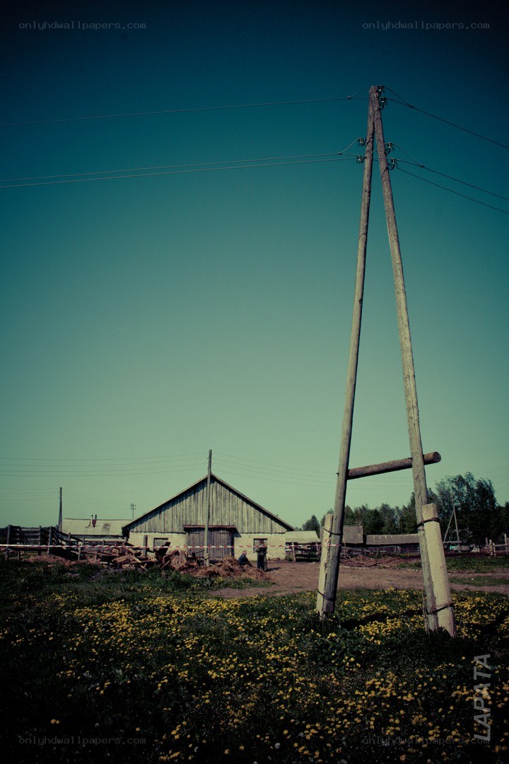 Rural scene with utility pole