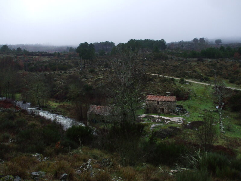 Rural stone houses in misty landscape