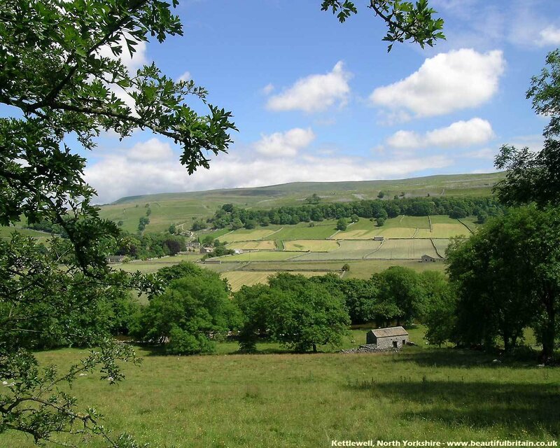 Rural Valley Landscape — Green, Serene, Afternoon
