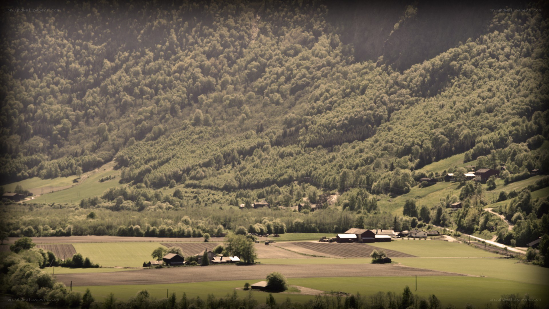 rural valley with forested hills