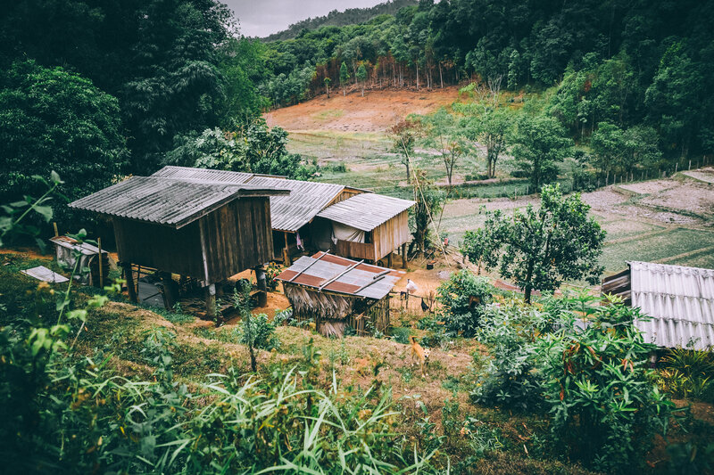 Rural village in forested hills