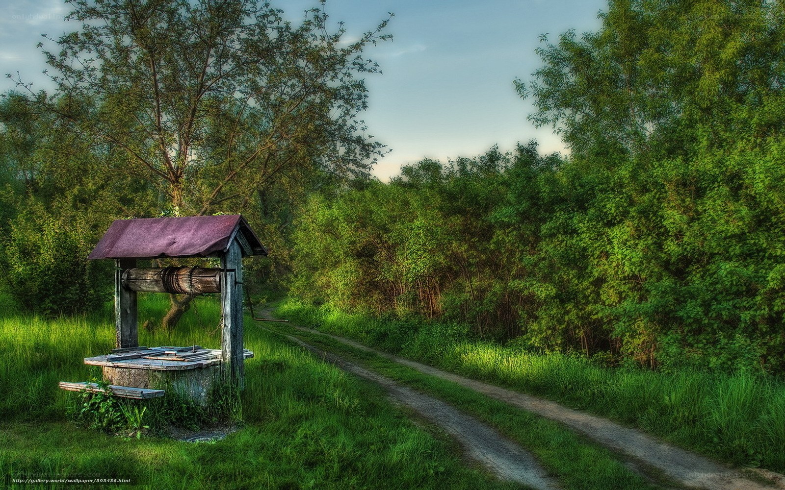 Rural well by a dirt path
