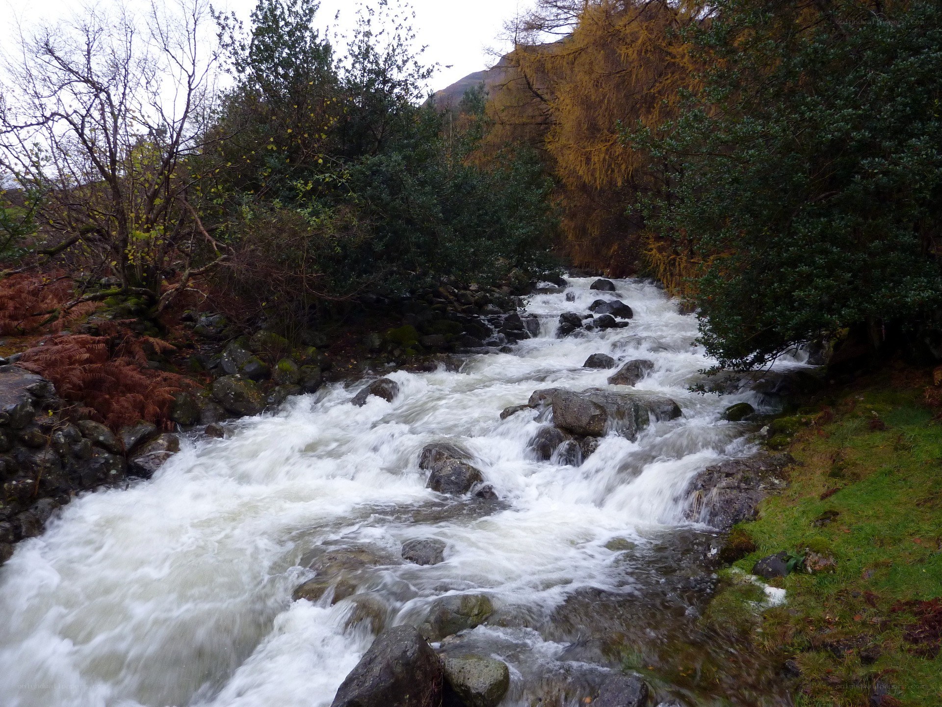 Rushing stream in autumn forest