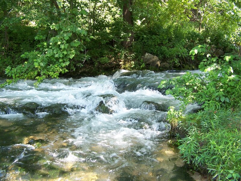 Rushing stream in forest