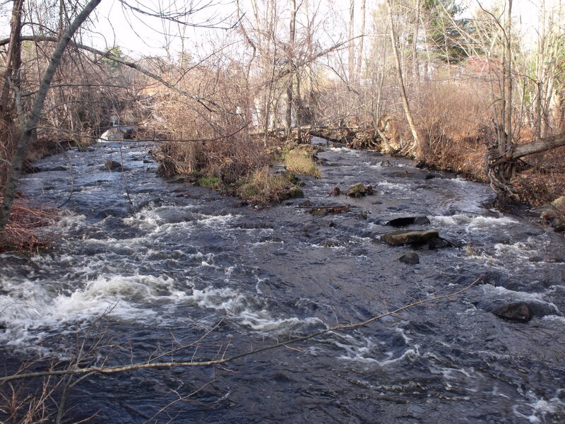 Rushing stream in winter forest