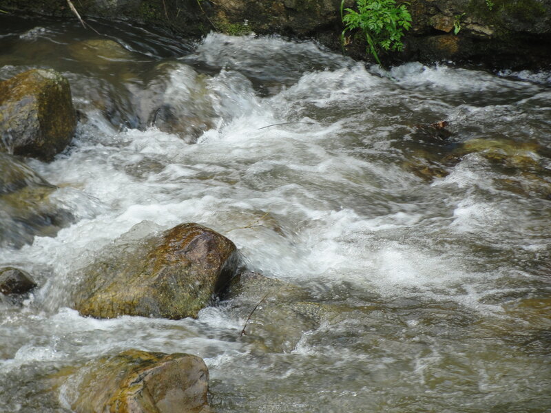 Rushing stream over rocks