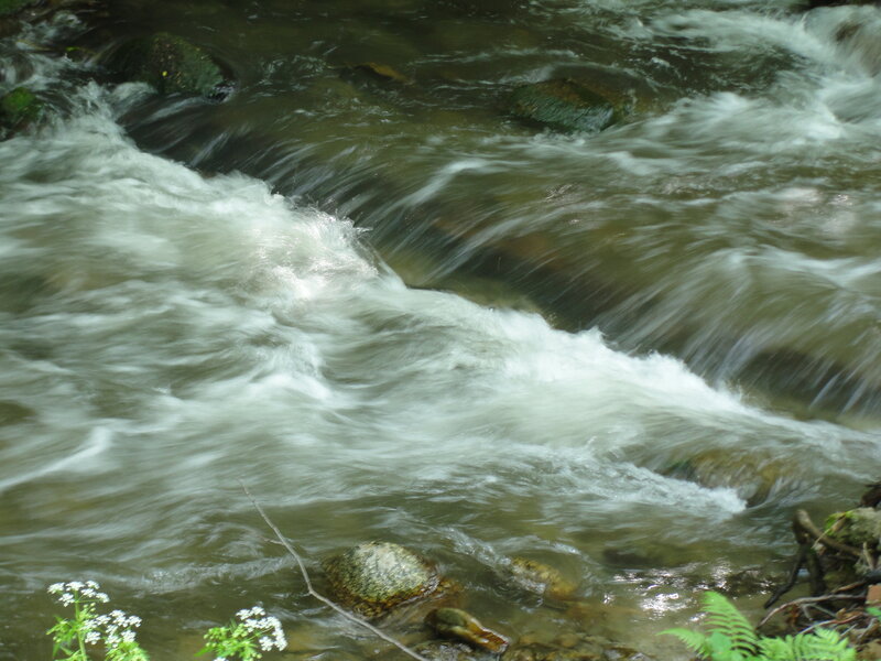 Rushing stream over rocks