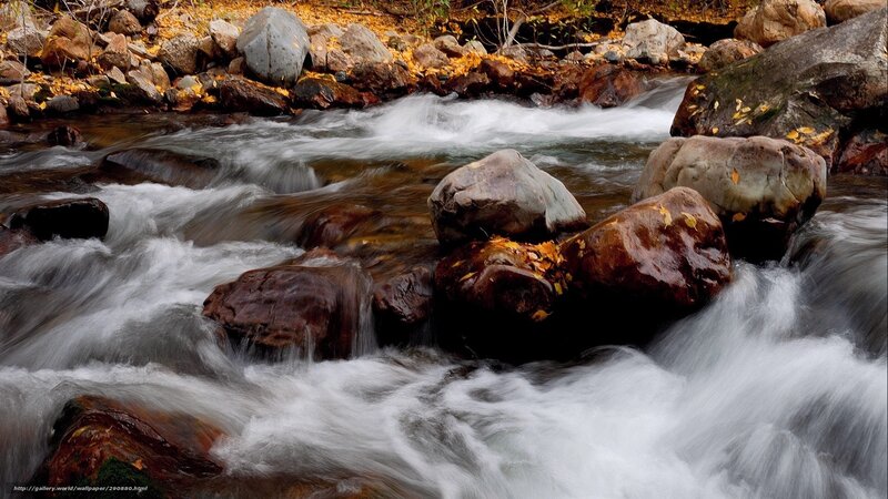 Rushing stream over rocks