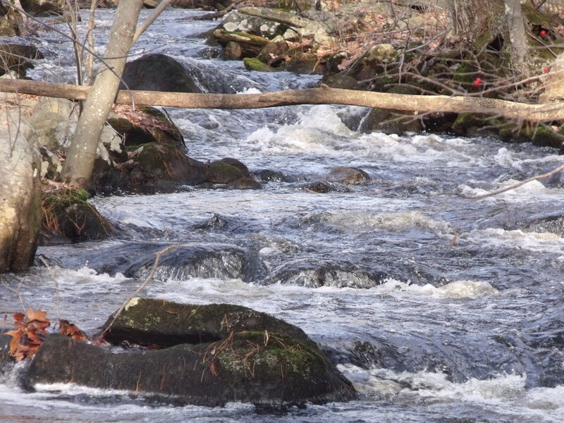 Rushing stream with rocks and fallen log