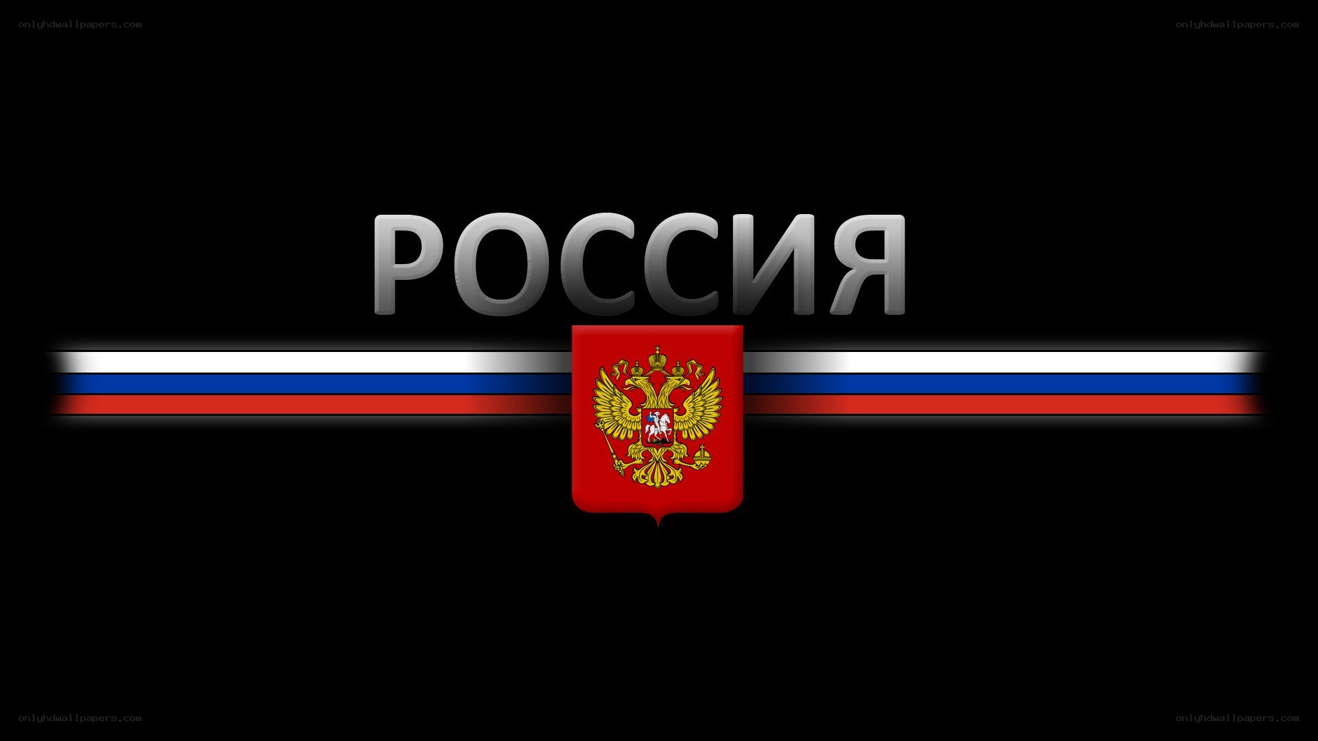 Russia flag and emblem