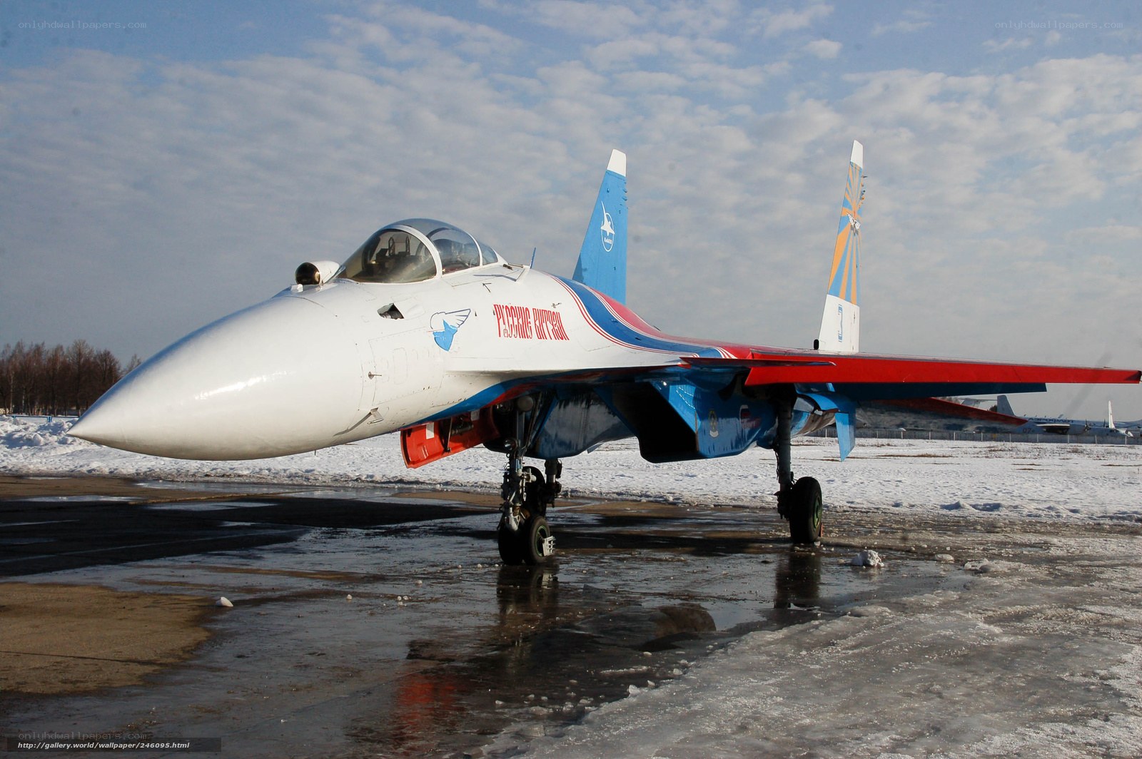 Russian aerobatic jet on tarmac