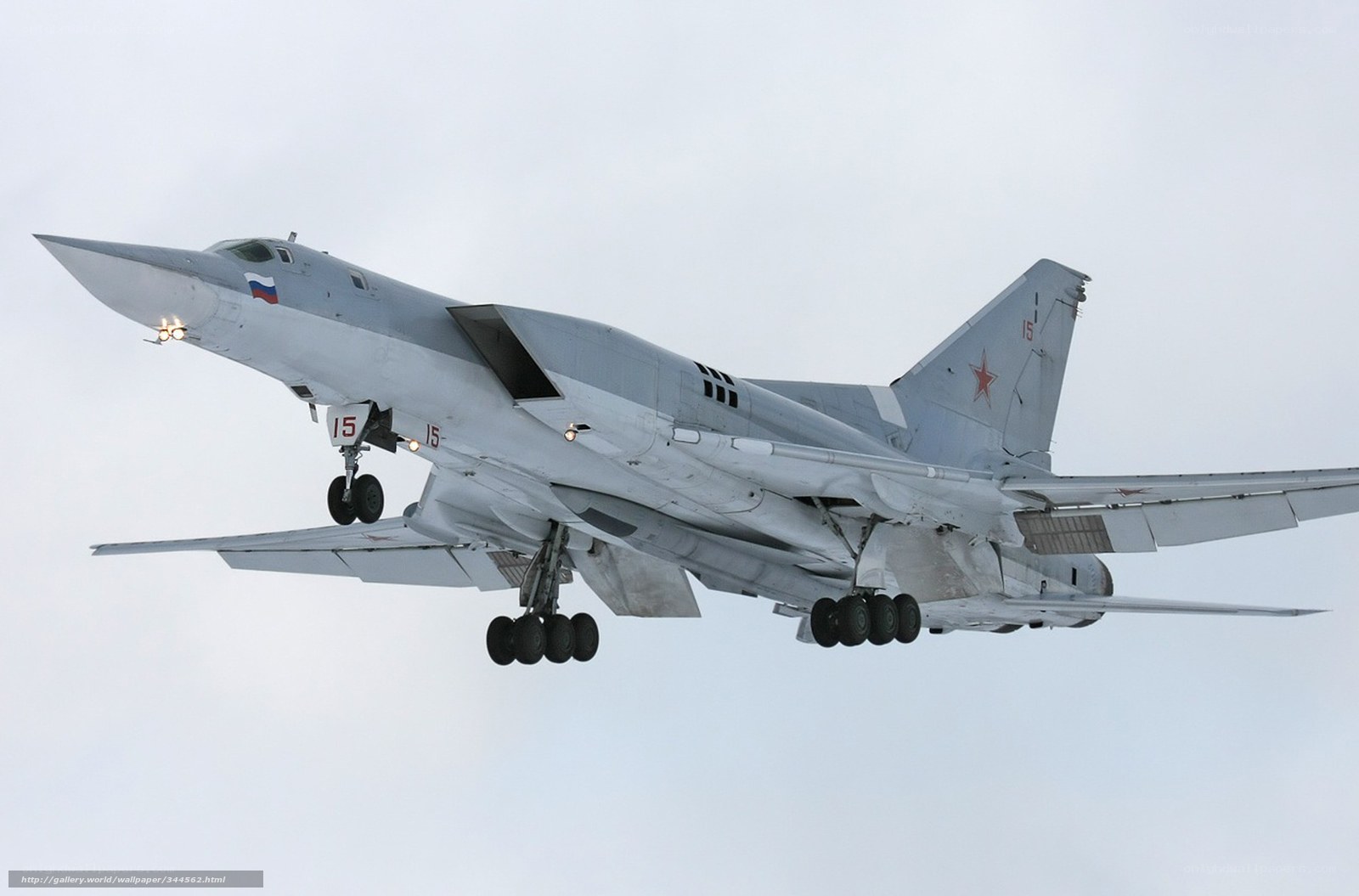 Russian bomber in flight