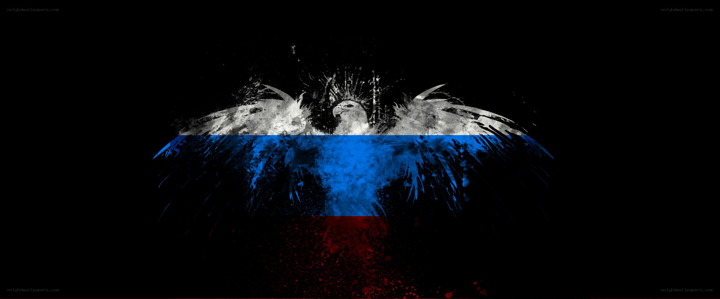 Russian flag eagle art