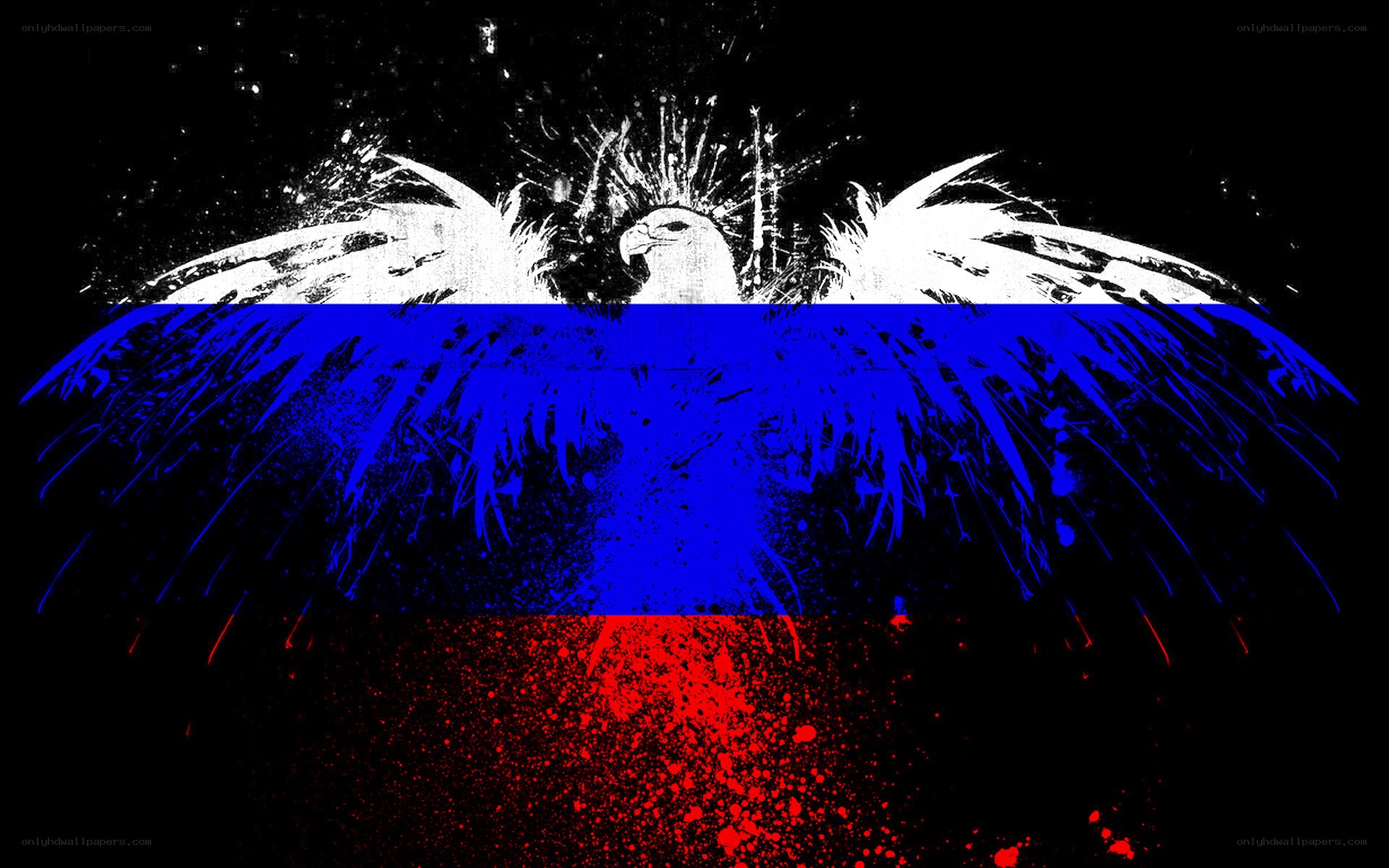 Russian flag with eagle design