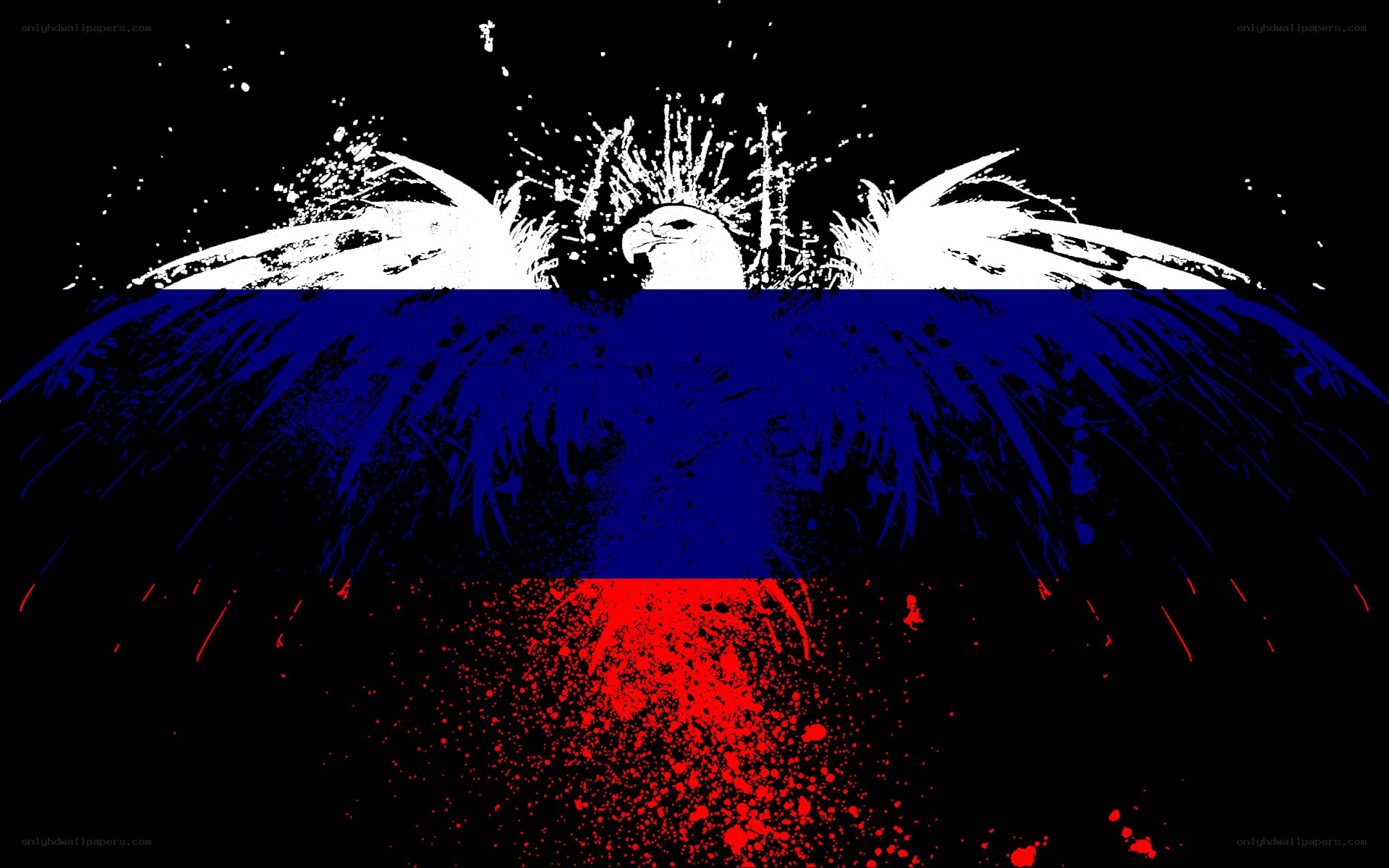 Russian flag with eagle design