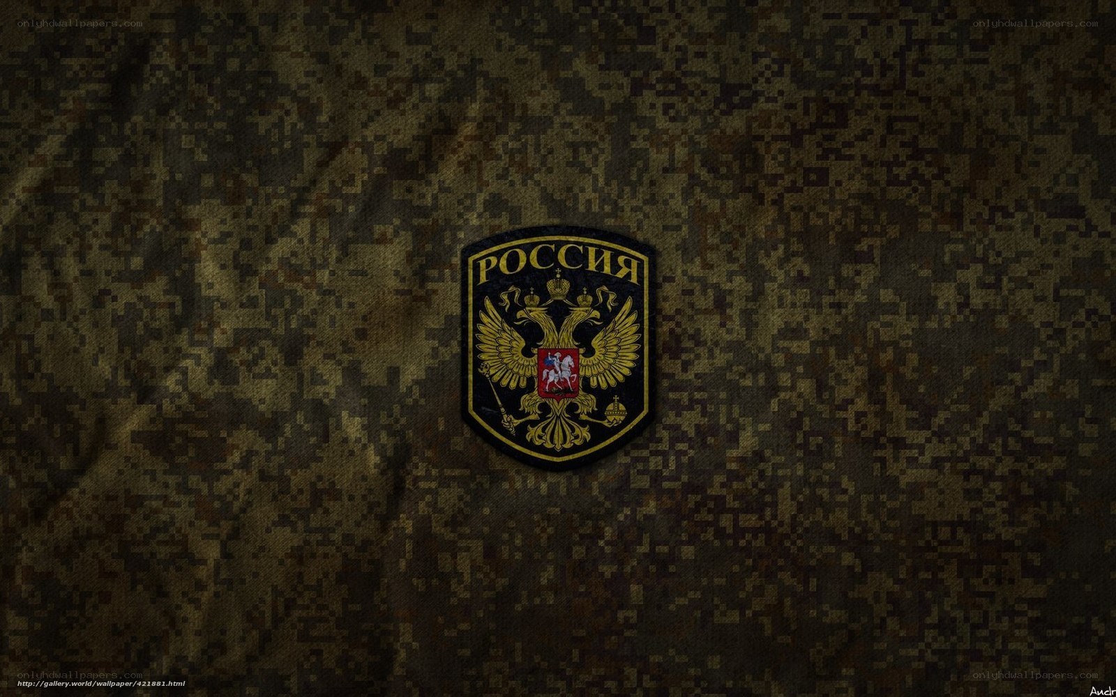 Russian military emblem on camouflage