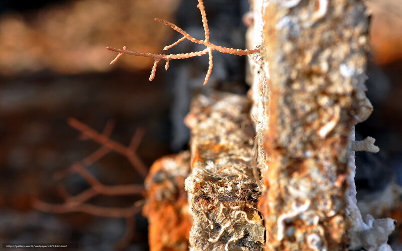Rust-covered metal structure