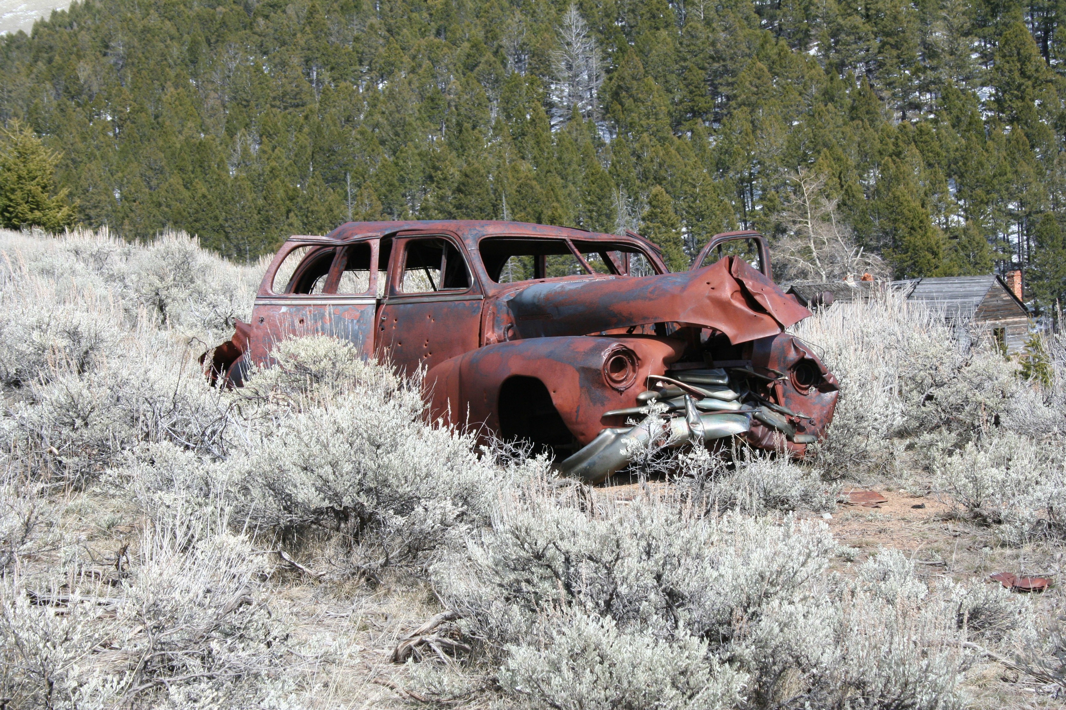 Rusted car in a field