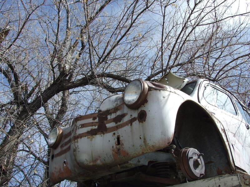 Rusted car under bare trees