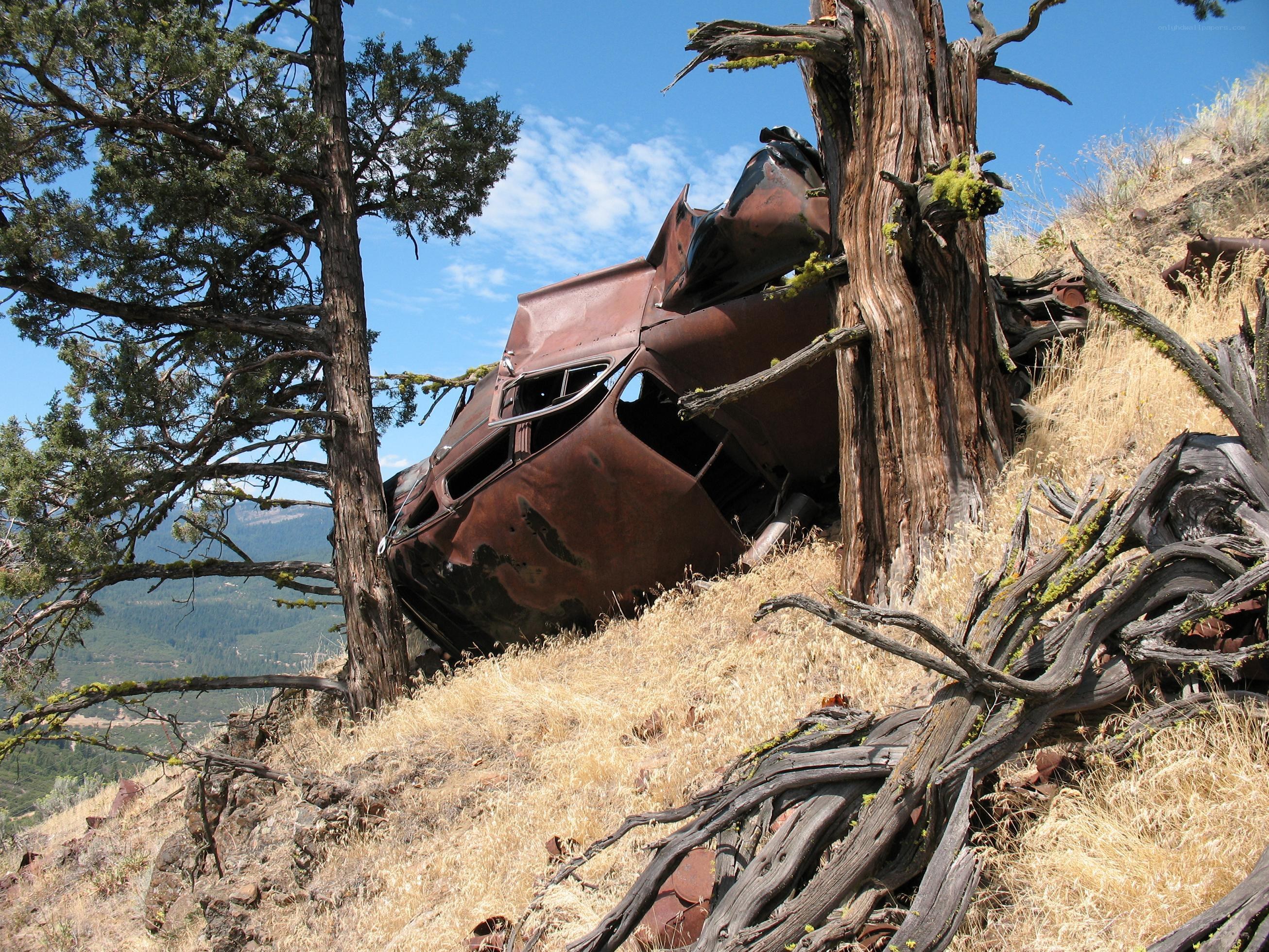 Rusted car wreck on hillside