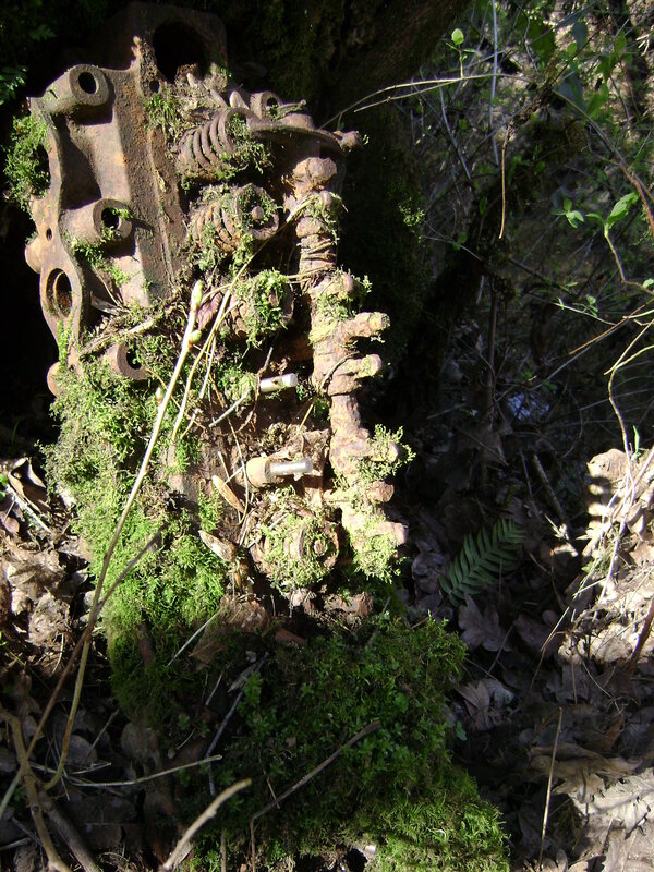 Rusted engine in forest moss