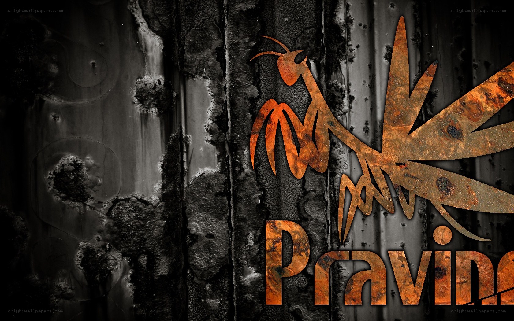 rusted insect logo on metal
