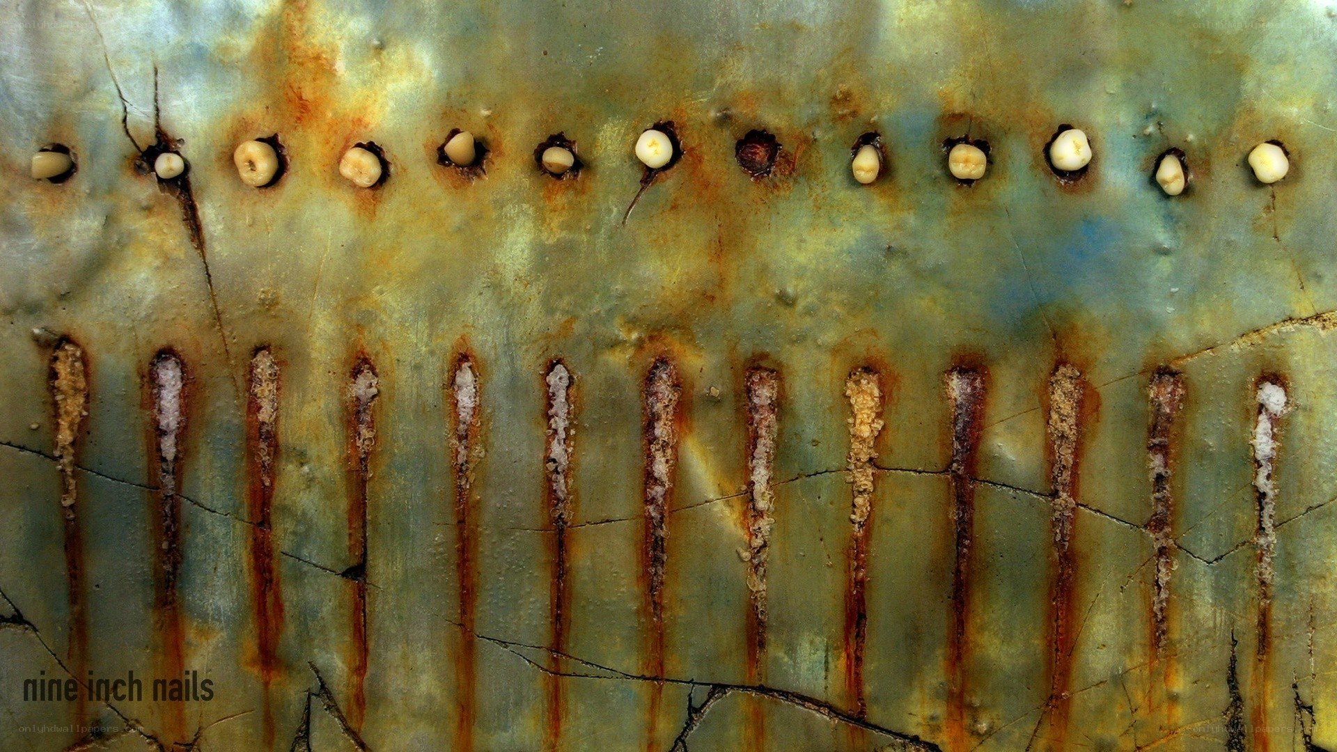 Rusted metal with embedded nails