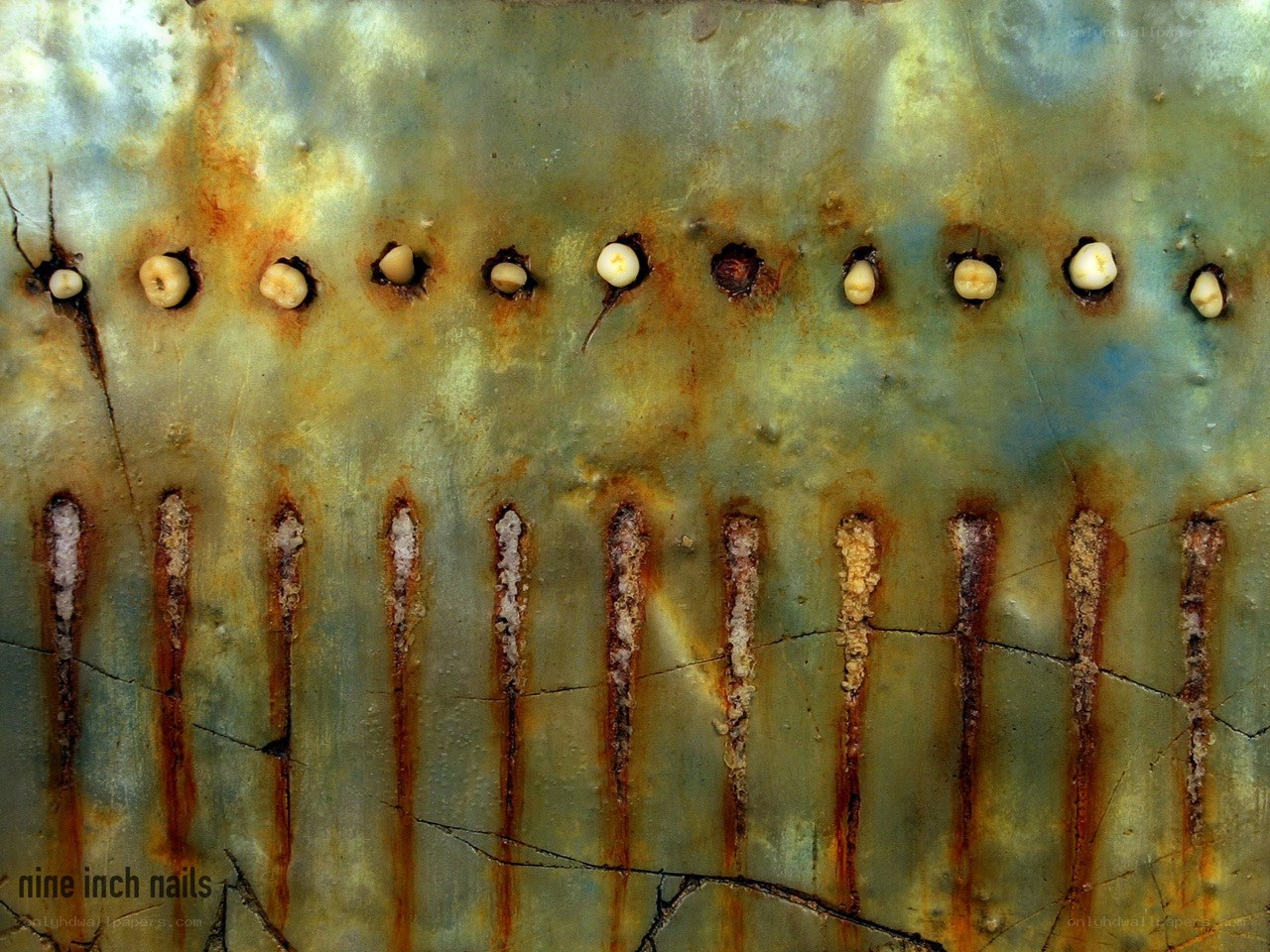 Rusted metal with embedded teeth
