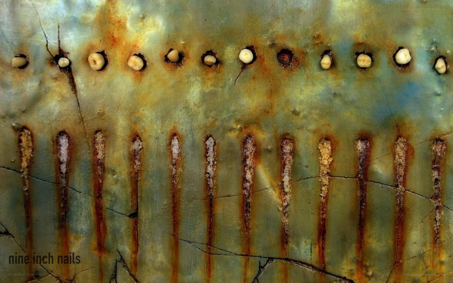 Rusted metal with embedded teeth