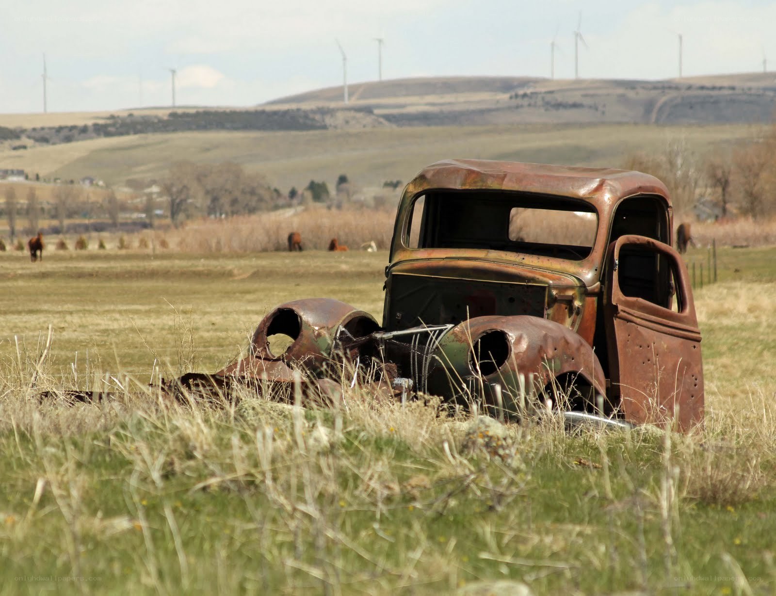Rusted truck in a field