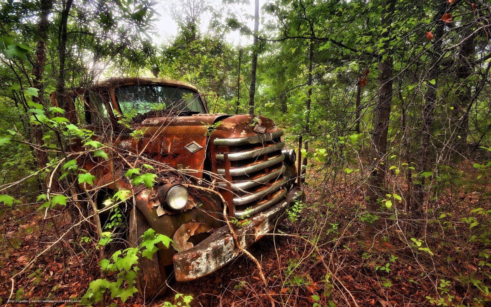Rusted truck in forest