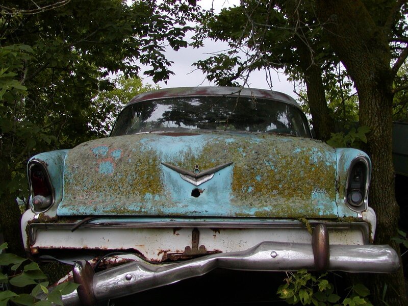 Rusted vintage car in the woods