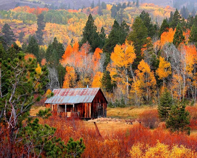 Rustic Barn in Autumn — Orange