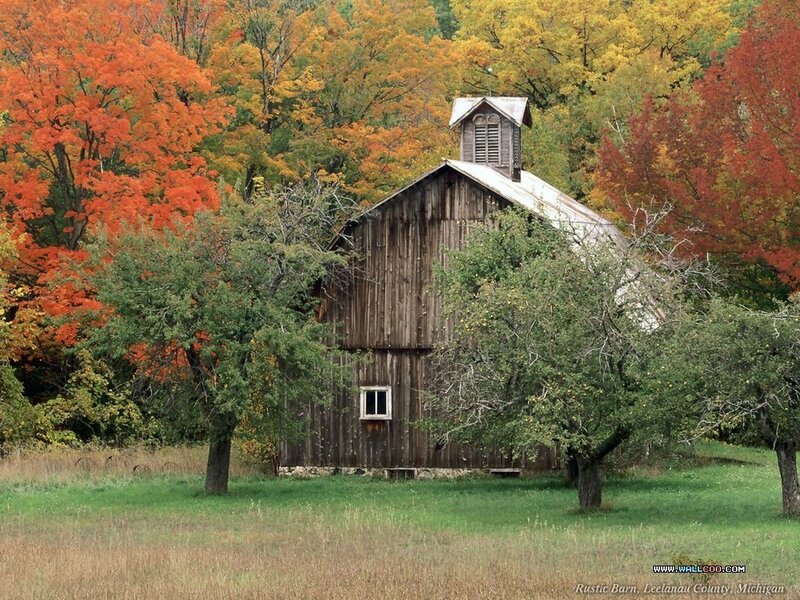 Rustic Barn in Autumn