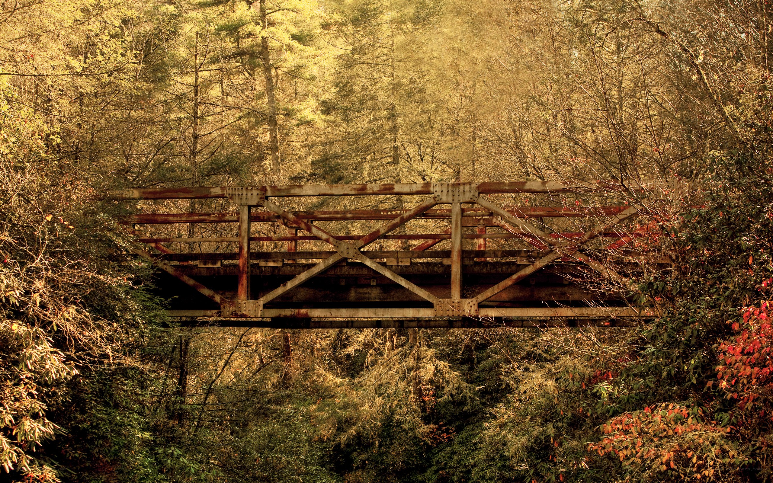 Rustic bridge in autumn forest
