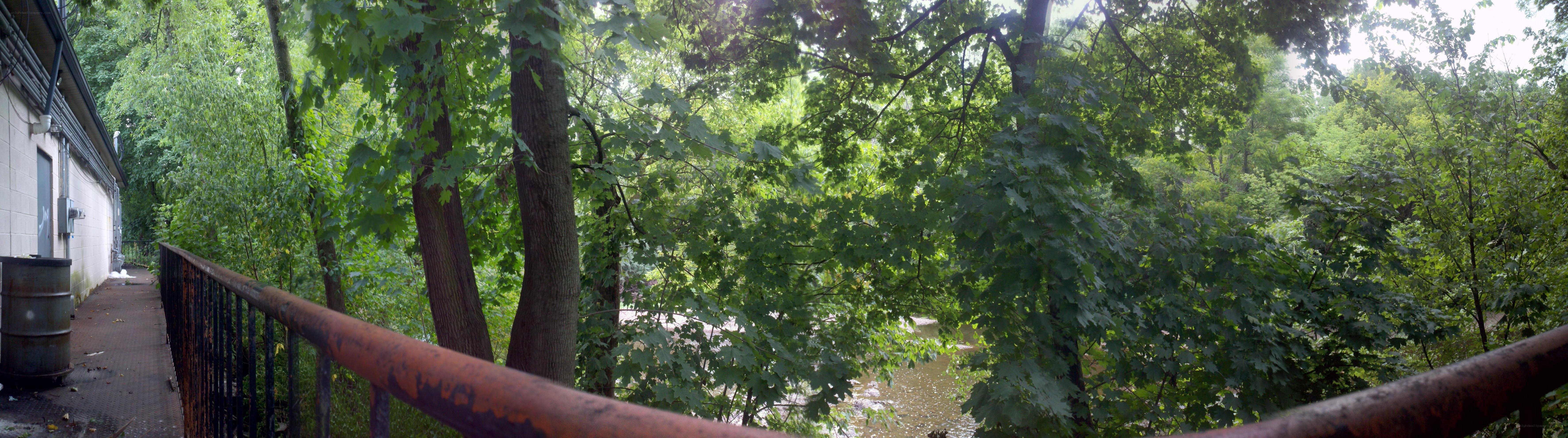 Rustic bridge over a wooded stream