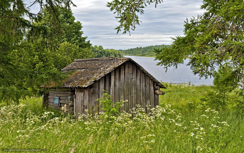 Rustic cabin by the lake
