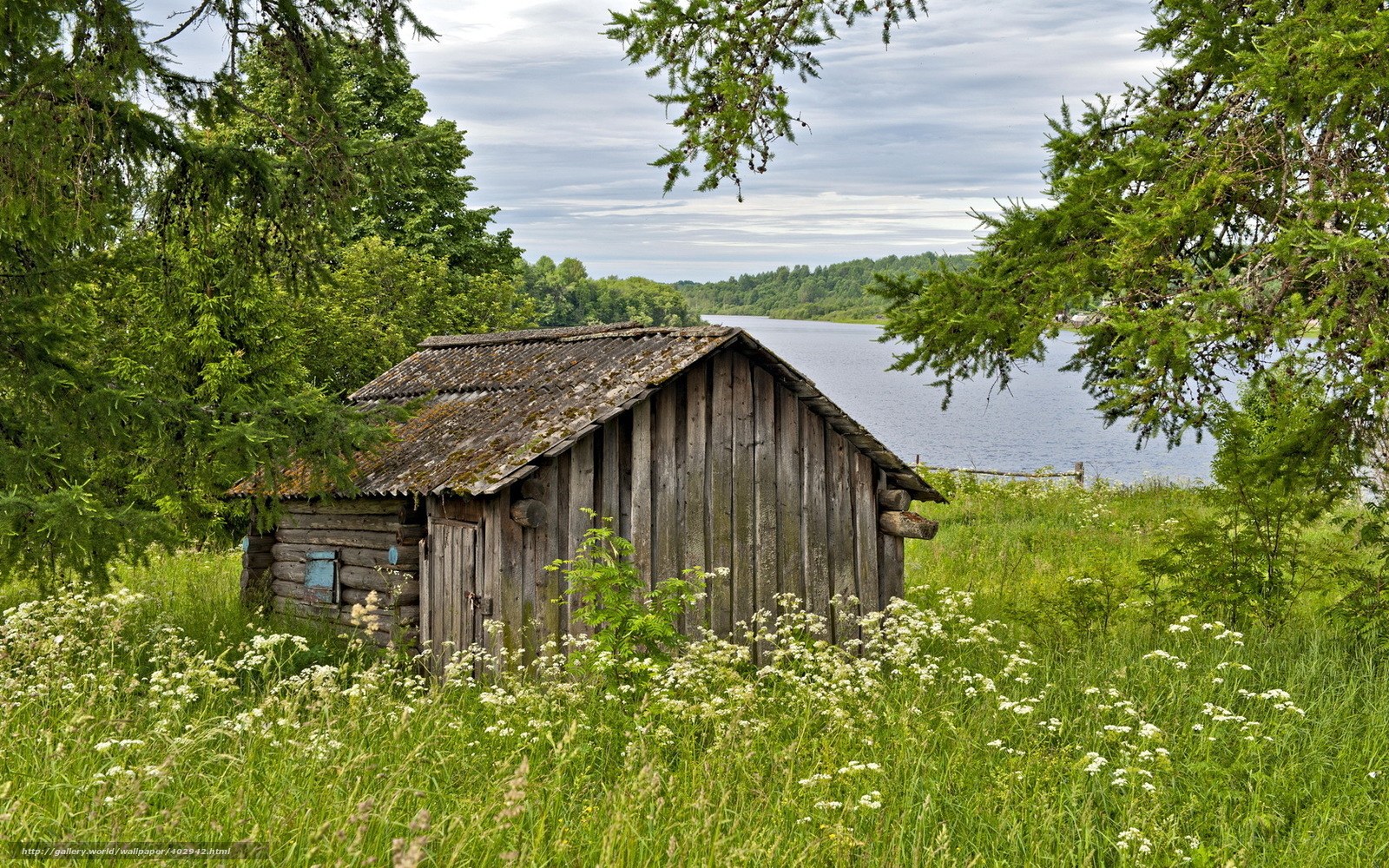Rustic cabin by the lake