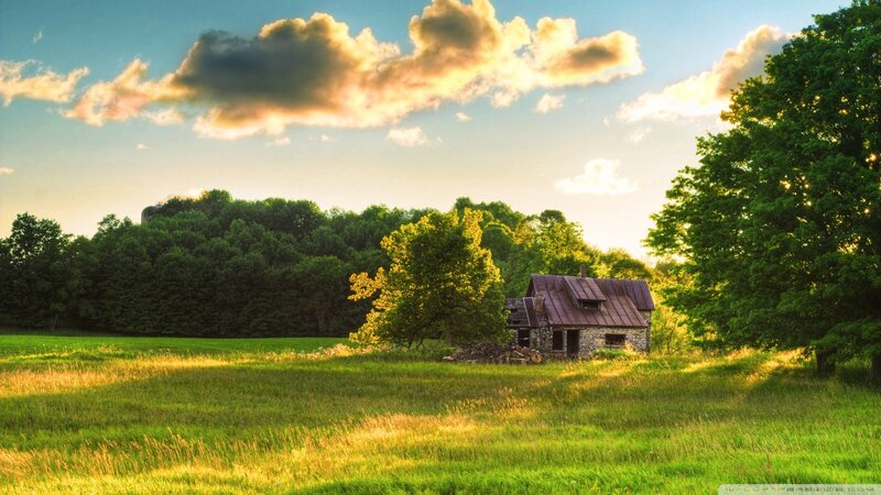 Rustic cabin in a green field