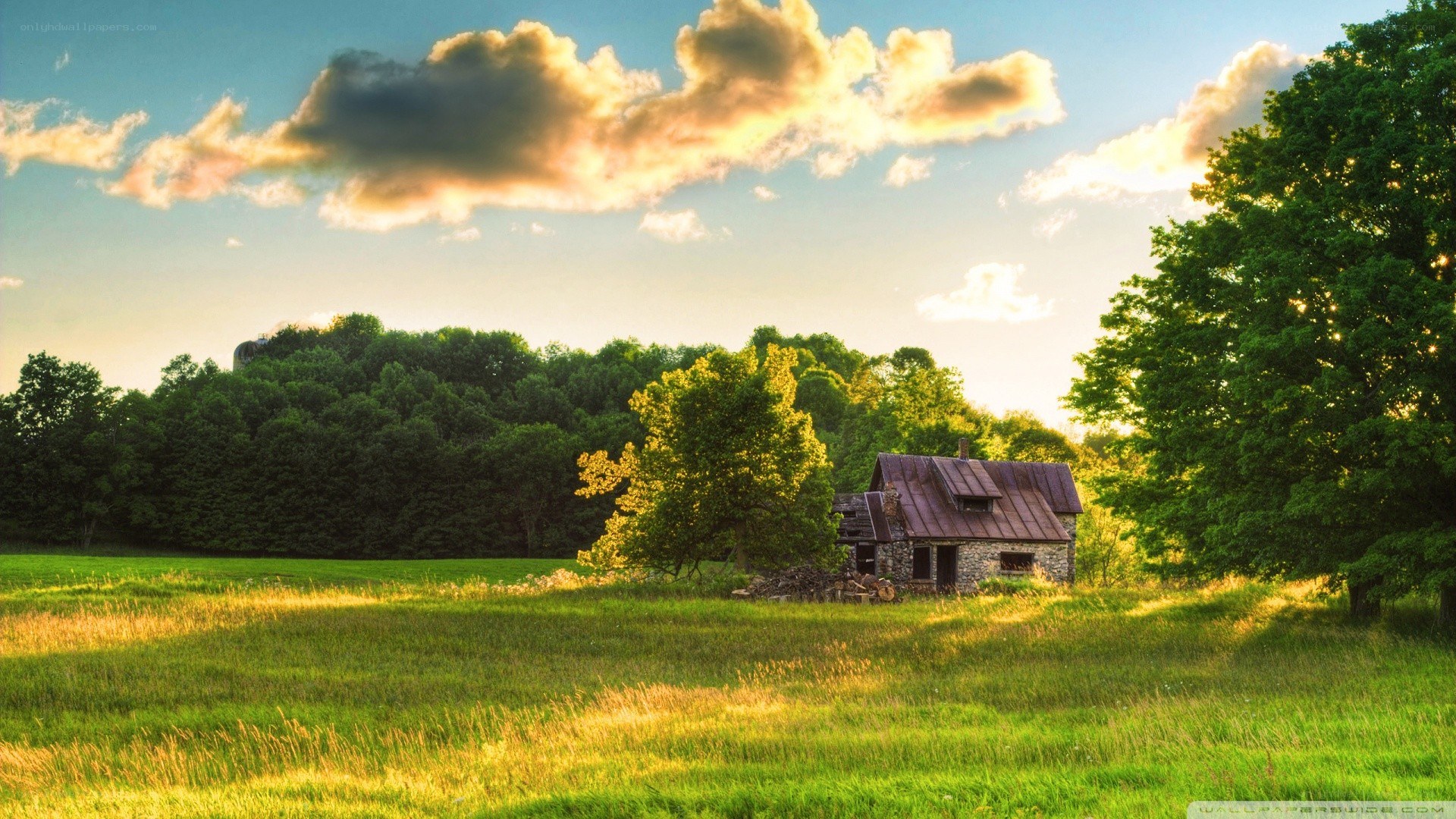 Rustic cabin in a green field