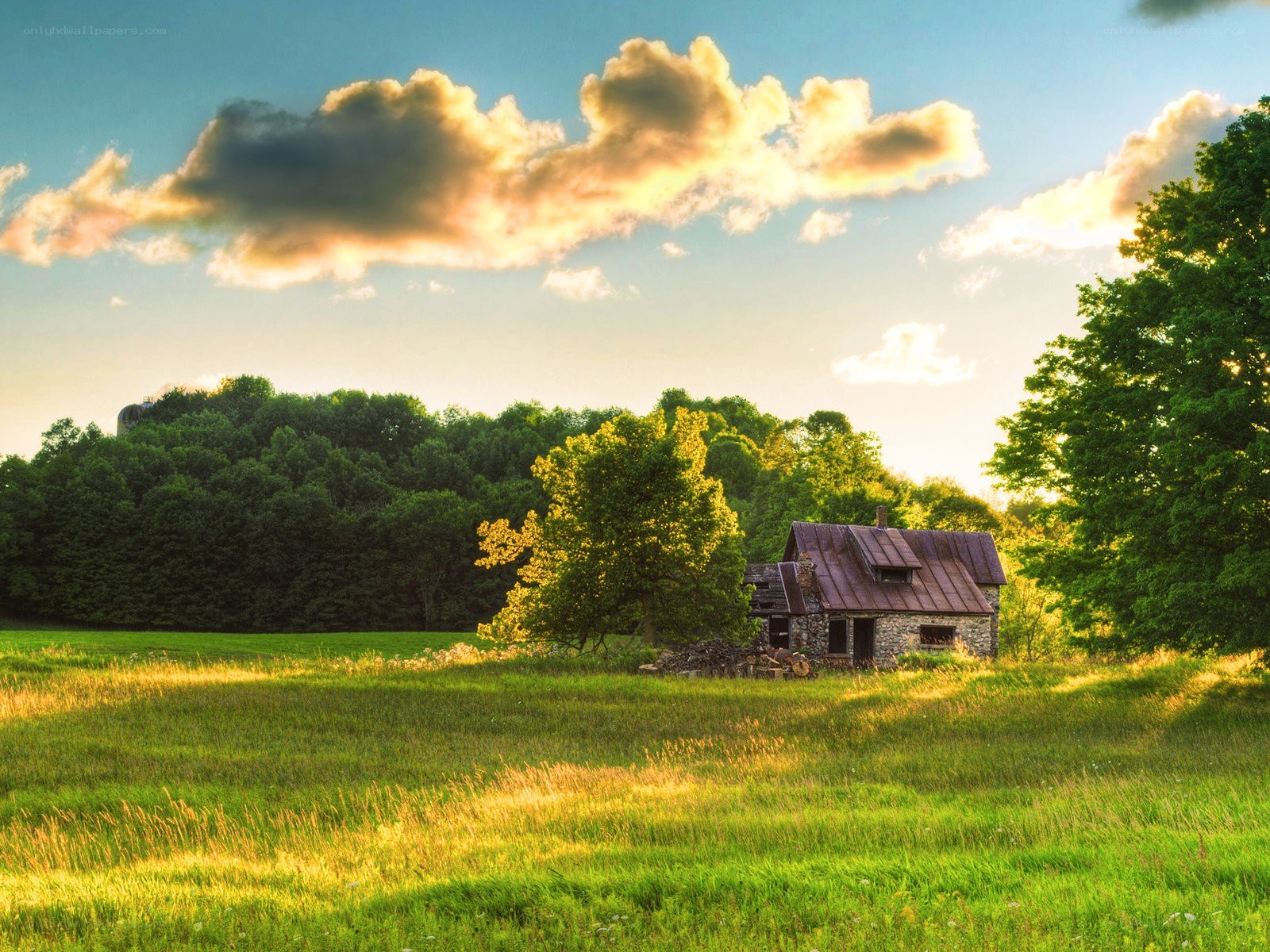 Rustic cabin in a sunlit field