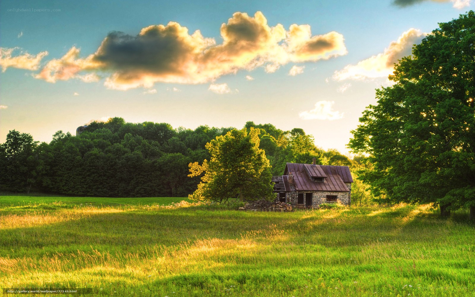 Rustic cabin in a sunlit field