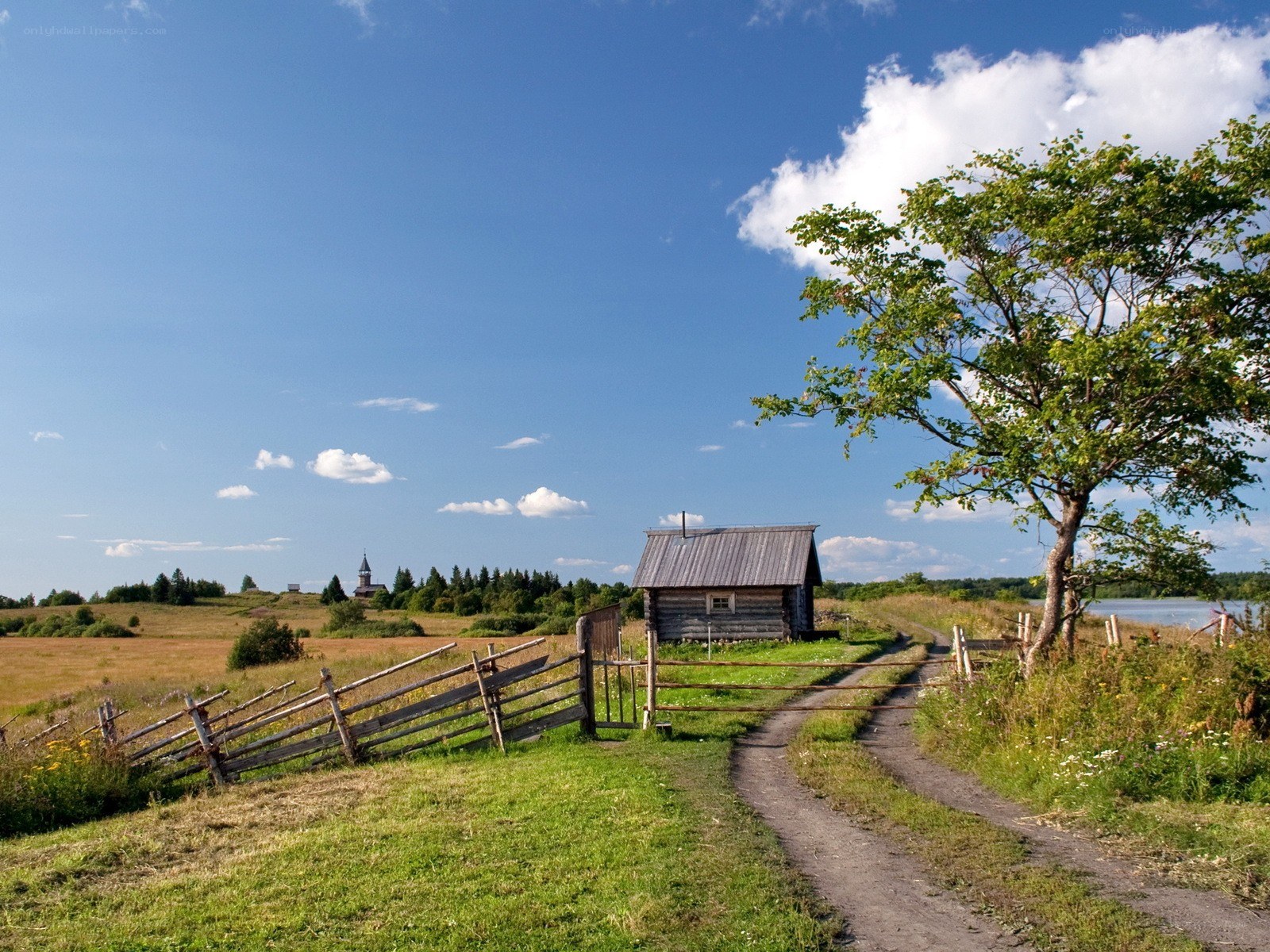 Rustic cabin in a sunny field