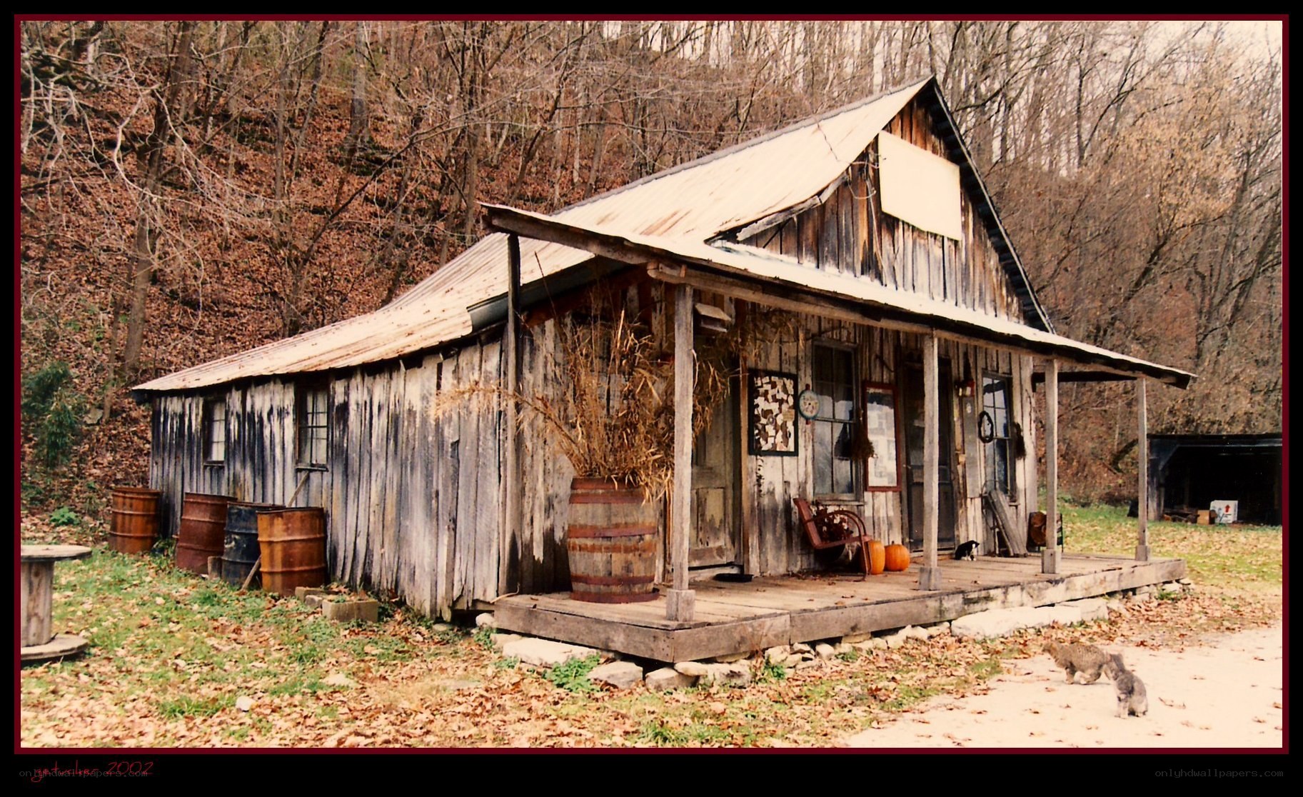 rustic cabin in autumn woods