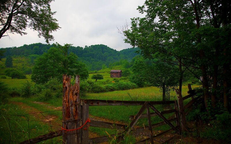 Rustic cabin in green valley