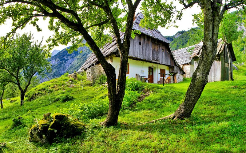 Rustic cabin in mountain valley