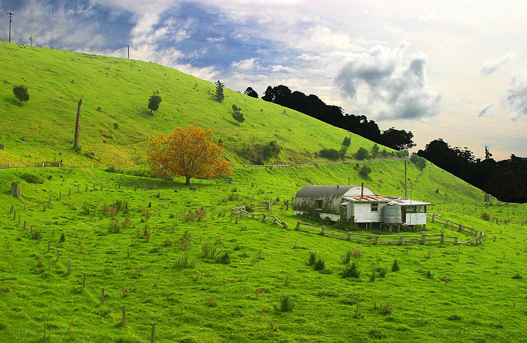 Rustic cabin on a green hill