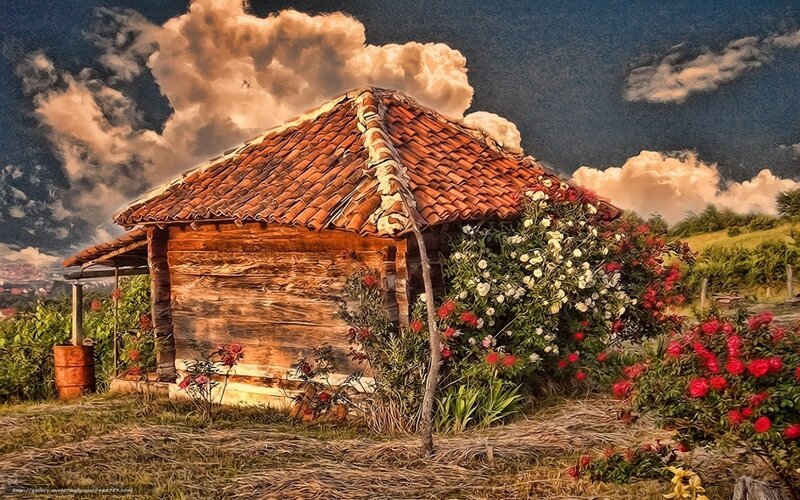 Rustic cabin with rose bushes